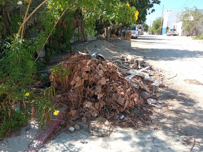 Continúa problema de ramas y charros en calles