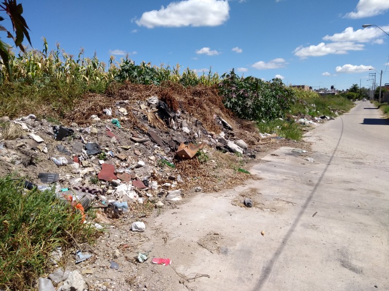 Continúa problemática de basura