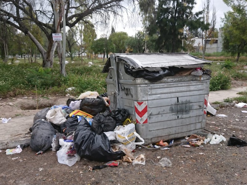 Continúa problemática de basura y reportes de fauna