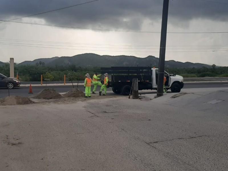 Continúa SCT trabajando en el mantenimiento de la transpeninsular