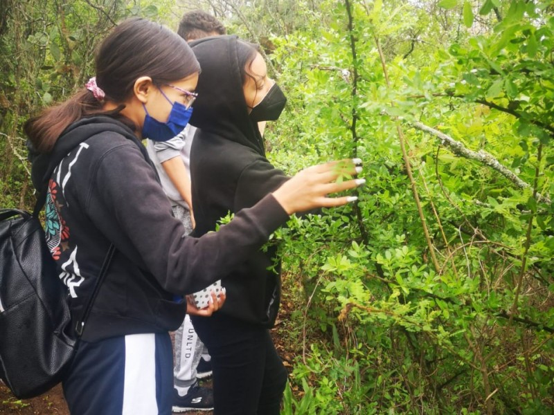 Continúa Semaccdet con jornada de voluntariado en Cerro Punhuato