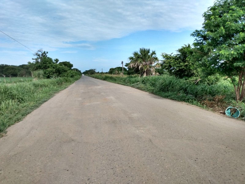 Continúa sin atención la carretera de Unión Hidalgo