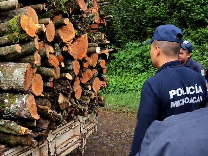 Continúa SSP acciones operativas para preservar los bosques