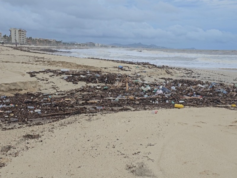 Continua trabajando zofemat en limpieza de playas