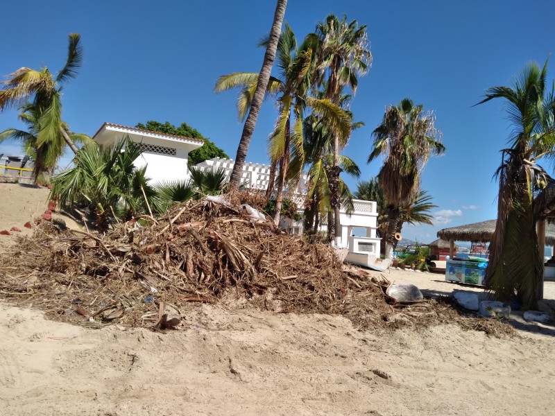 Continúa Zofemat limpiando las playas del municipio