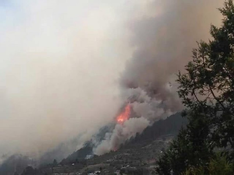 Continúan 3 incendios activos en Puebla de 305 reportados