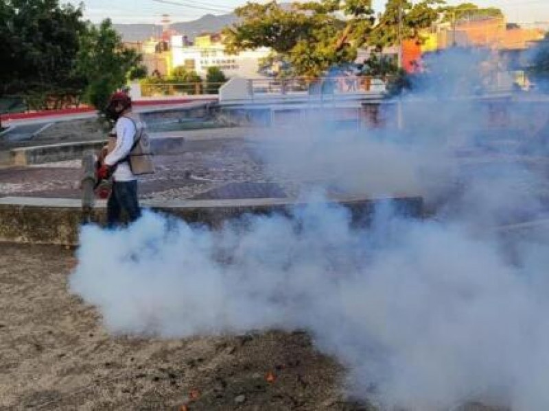 Continúan acciones contra enfermedades transmitidas por vector