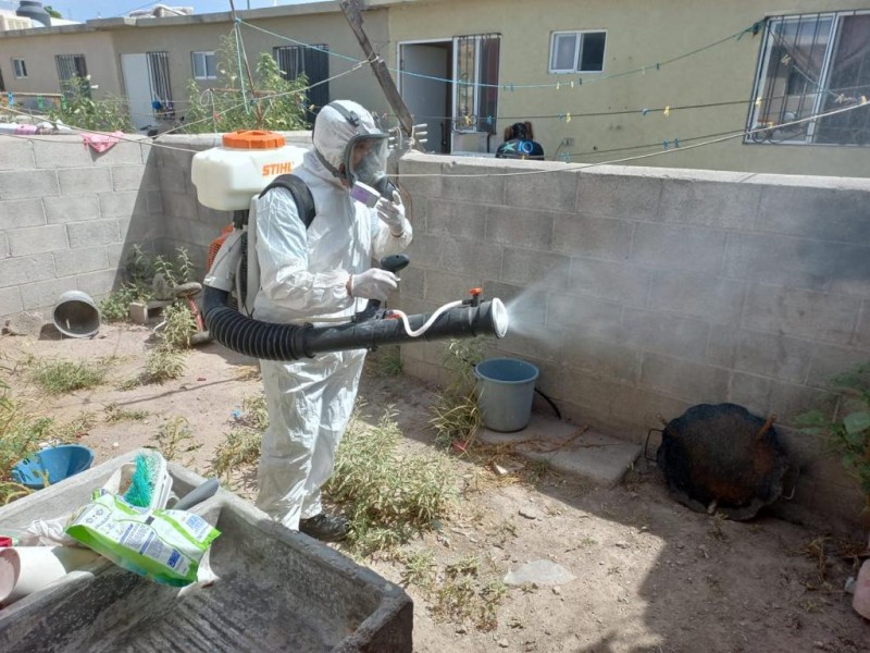 Continúan acciones contra la proliferación de garrapatas