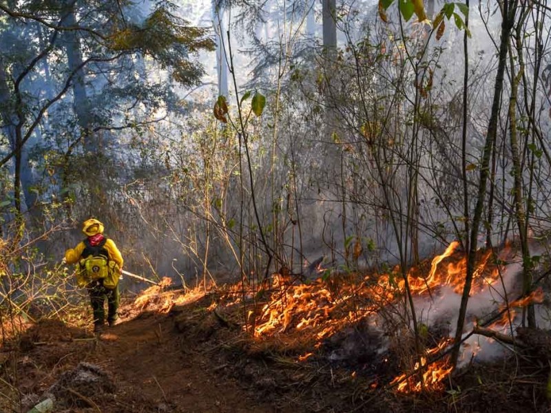 Continúan activos 9 incendios en Chiapas