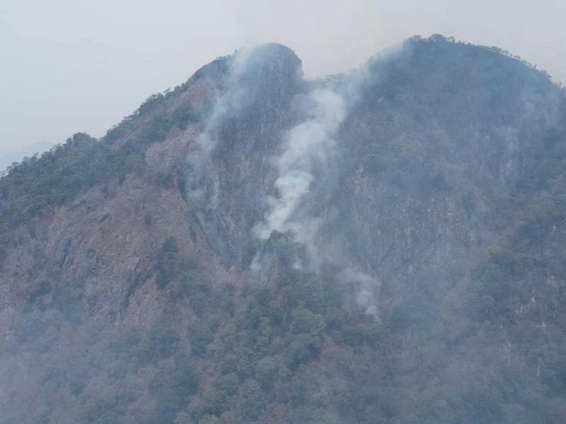 Continúan activos cuatro incendios forestales en Chilpancingo