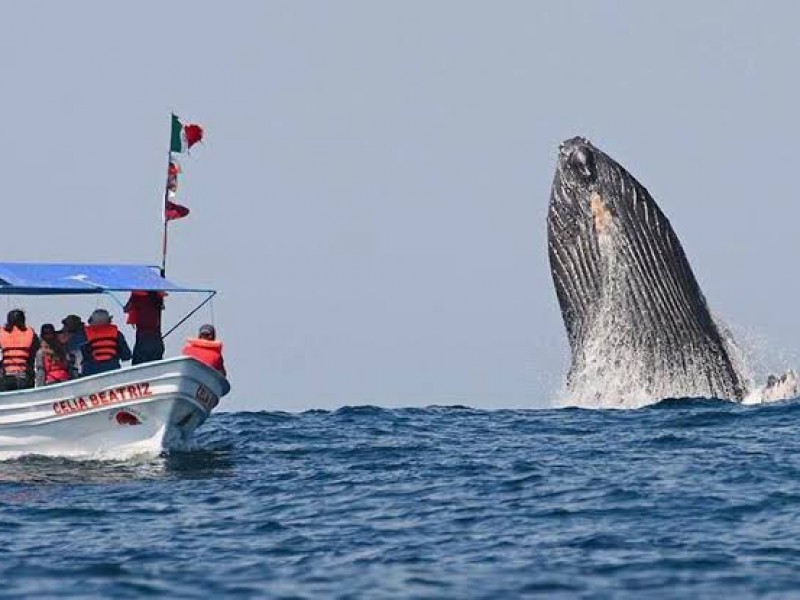 Continúan alta y bajas en afluencia turística para Nayarit