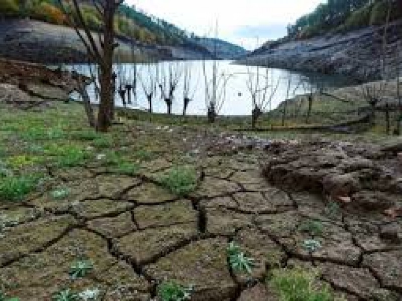 Continúan apoyos al campo en Colón por sequía