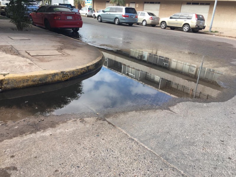 Continúan brotes de aguas negras en calle Leyva