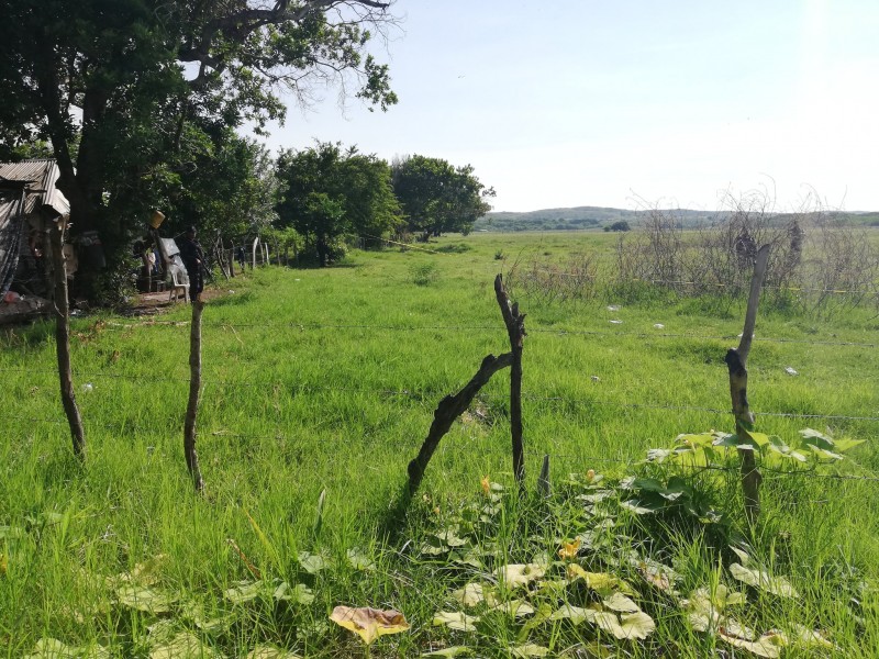 Continúan expandiendo zona de exploración en Arbolillo