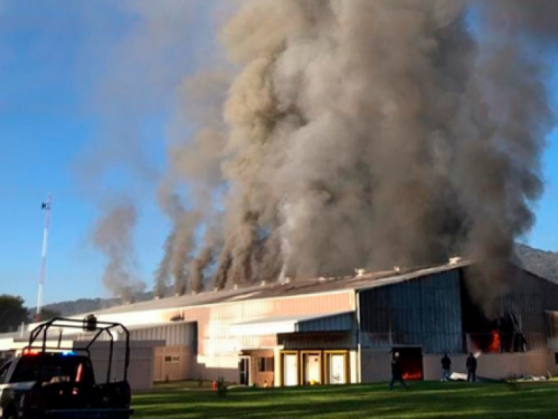 Continúan hechos violentos en Michoacán, incendian empacadora de aguacate