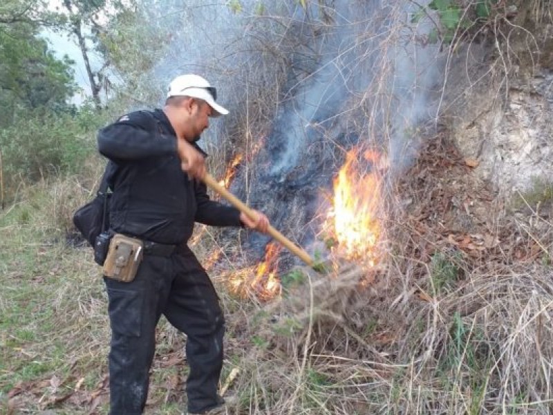 Continúan incendios forestales