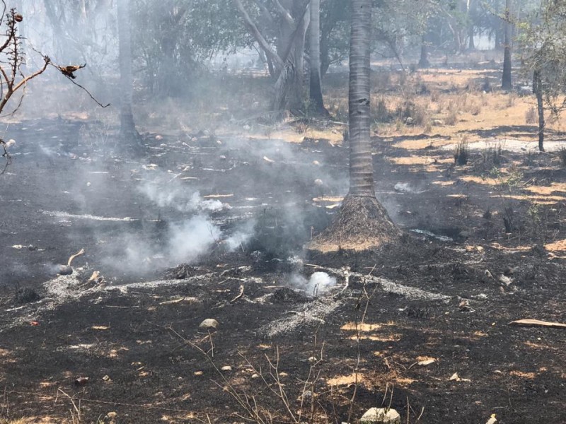 Continúan incendios forestales por descuidos del hombre