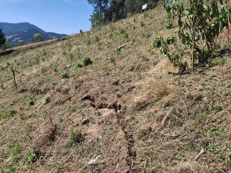 Continúan la extracción de material en cerros de Ajalpan