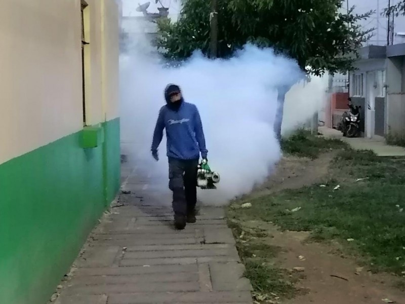 Continúan labores de fumigación contra el dengue en Zamora
