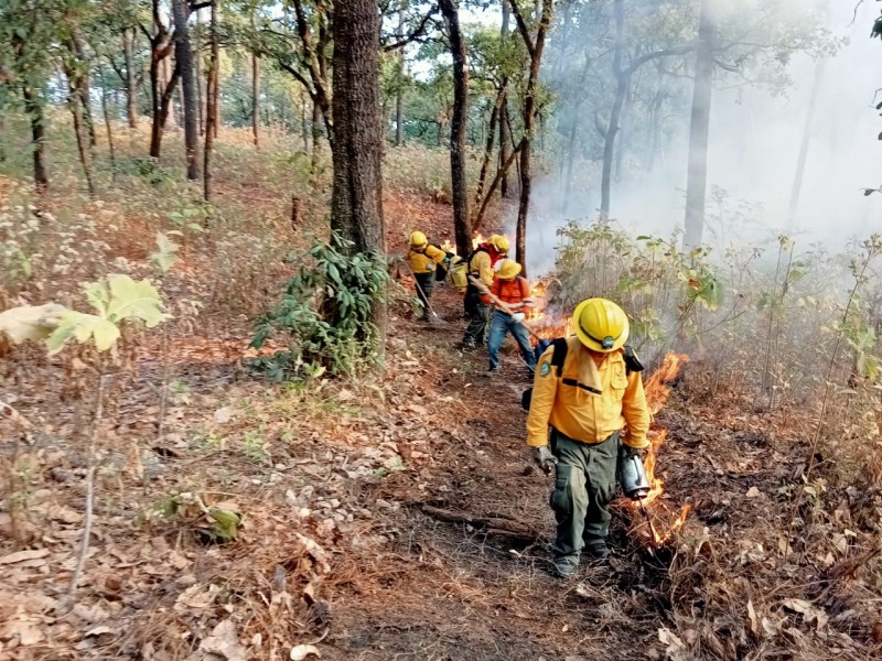 Continuan labores de liquidación en el Cerro de San Juan