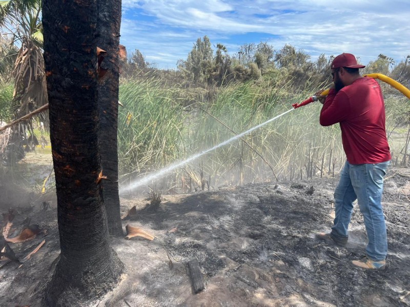 Continúan labores en el Estero tras incendio