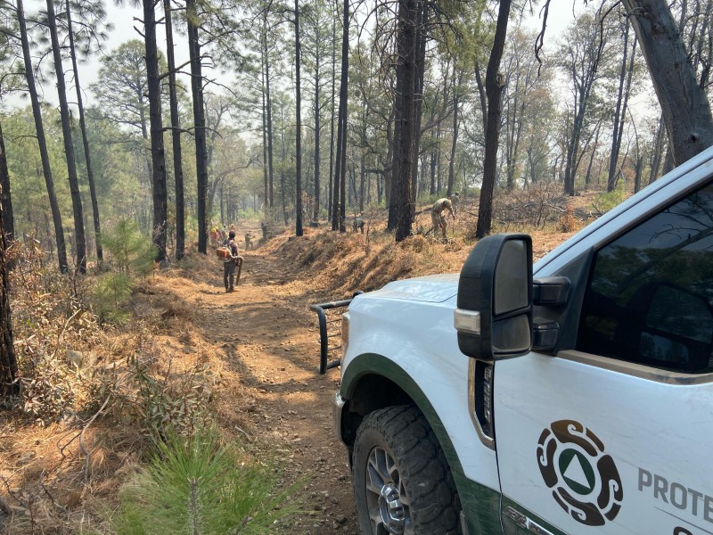 Continúan labores para sofocar incendios forestales en Yécora y Bavispe
