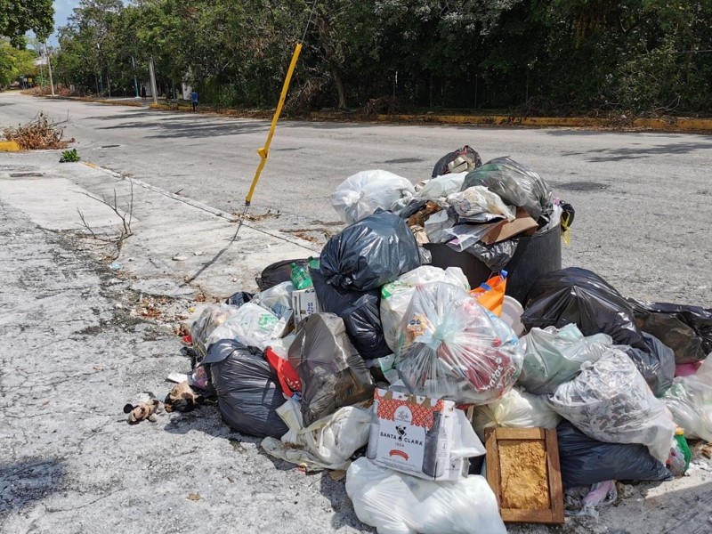 Continúan los reportes por problemas de basura