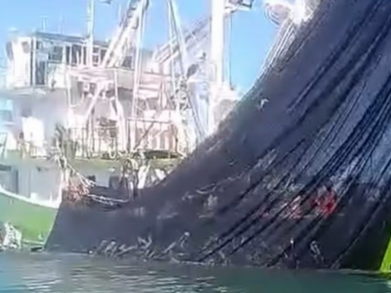 Continúan operando embarcaciones pesqueras de manera indiscriminada