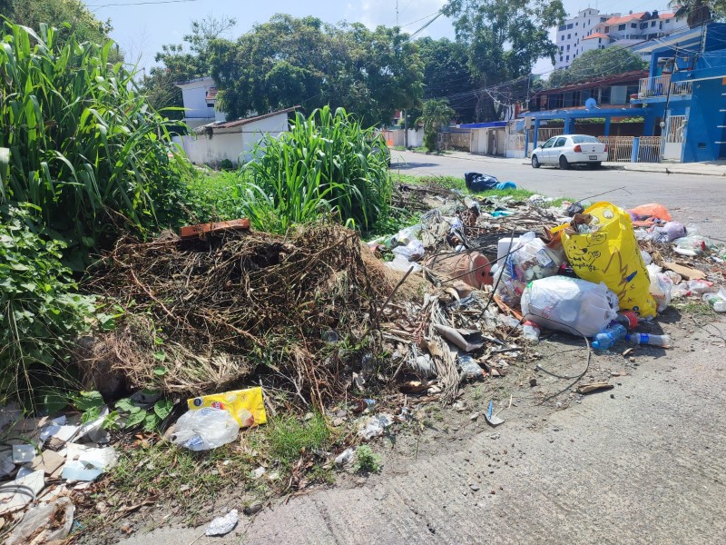 Continúan proliferando basureros clandestinos en Tuxpan