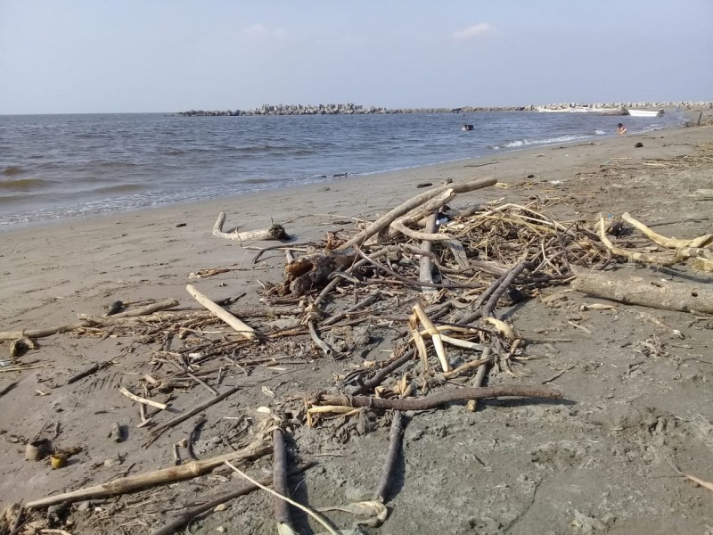 Continúan quejas por falta de limpieza en playas de Alvarado