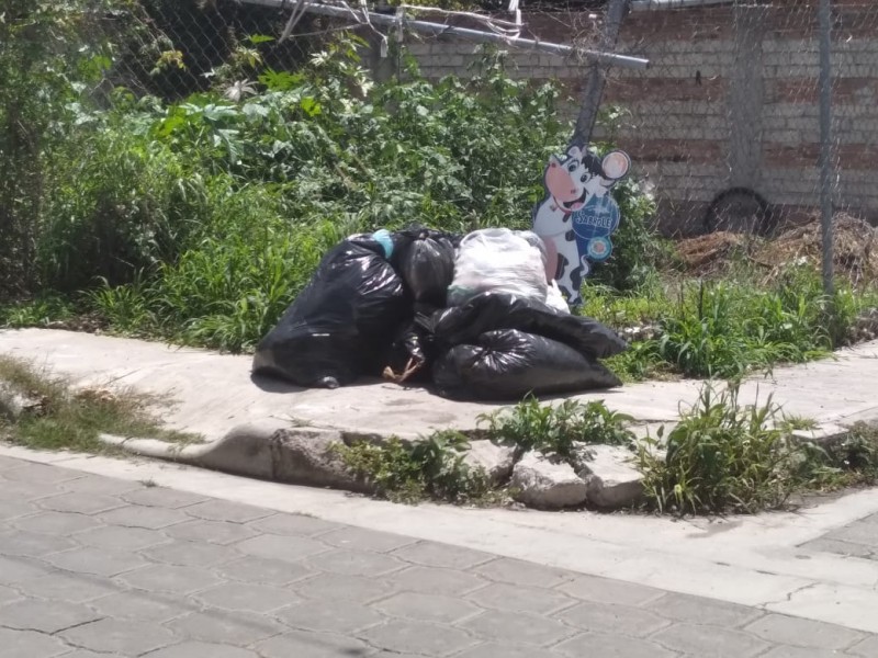 Continúan reportes por recolección de basura