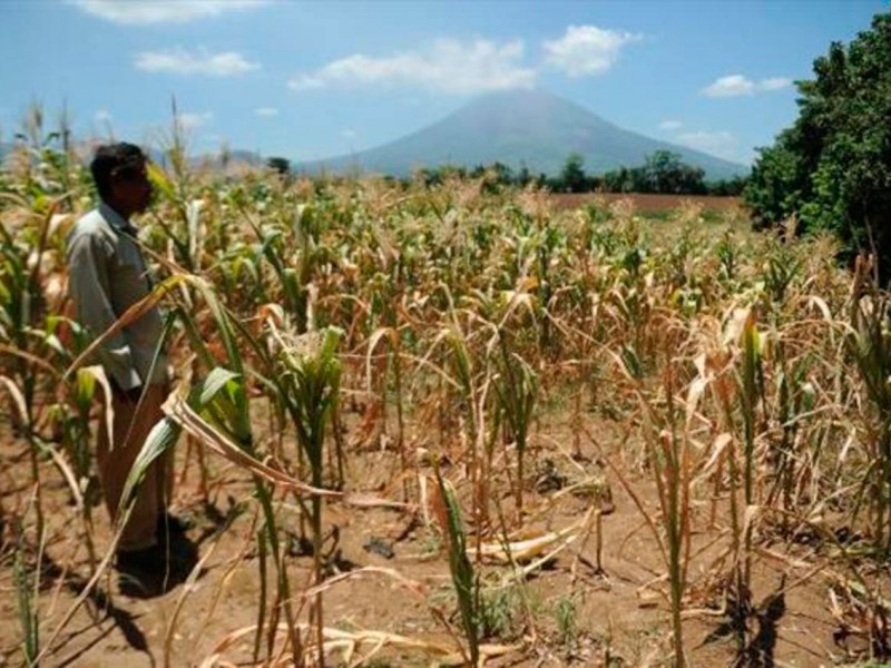 Continúan sequías en Sonora, el agua de pozos no alcanza