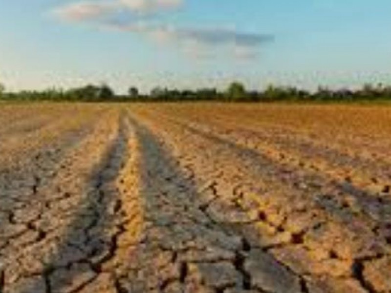 Continúan sequías; niveles por debajo del reporte histórico