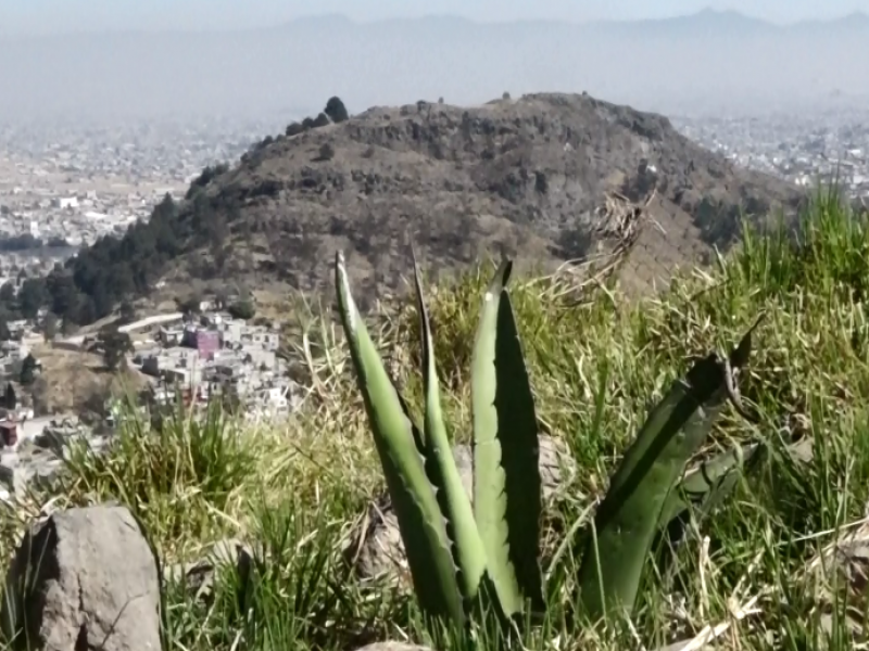 Continúan trabajos arqueológicos en Cerro del Toloche