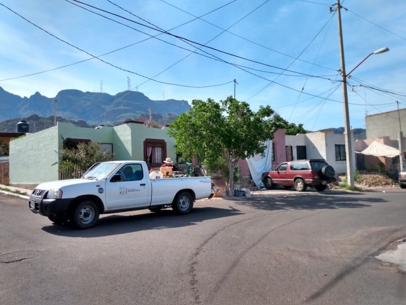 Continúan trabajos de figuración en colonias