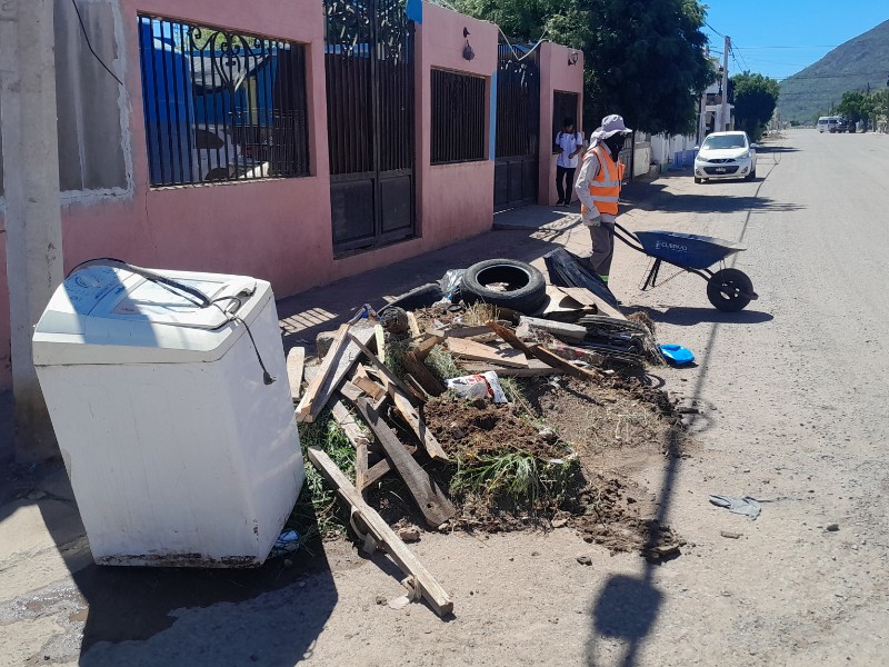 Continúan trabajos de limpieza en sector Niza