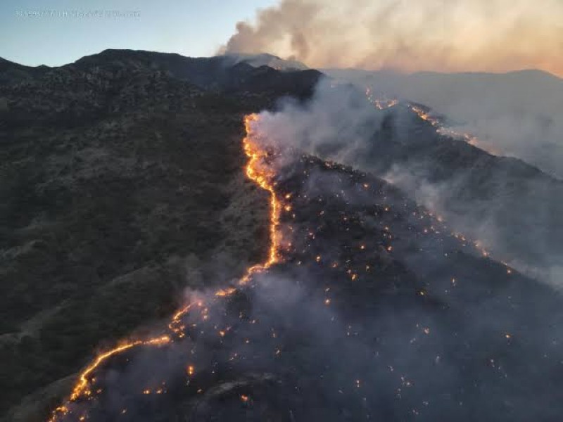 Continúan trabajos para sofocar incendio forestal en Ímuris