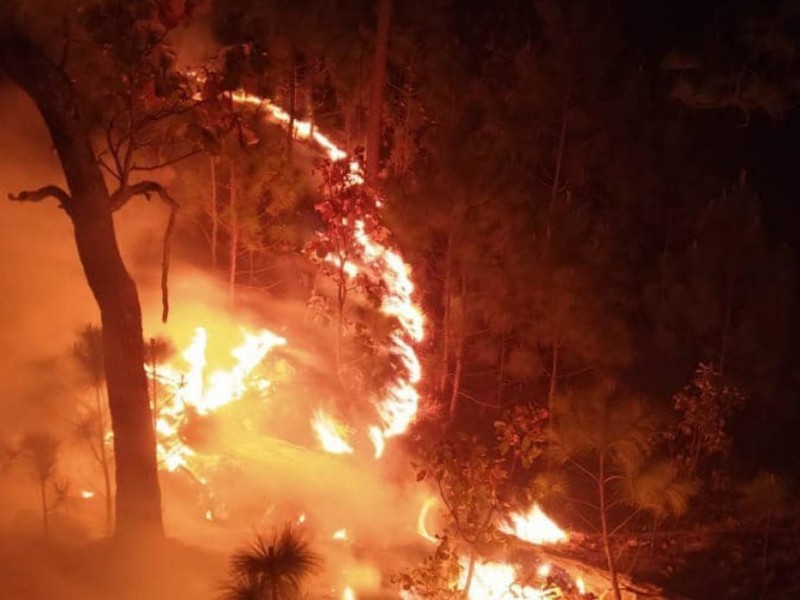 Continuaran los incendios forestales en junio