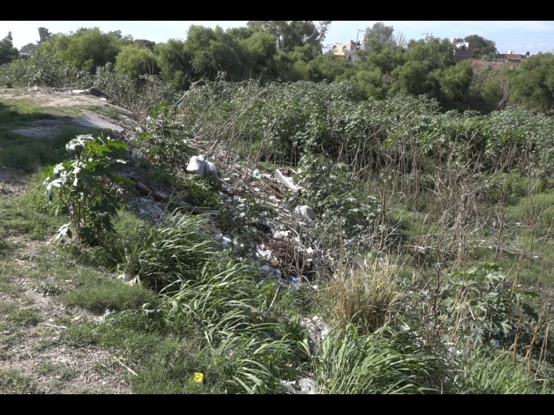 Continuos los reportes por basura en tianguis de Nativitas