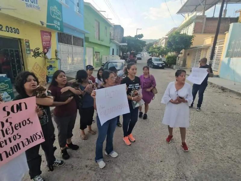 Continúa muerte de perros y gatos en Tuxtla Gutiérrez