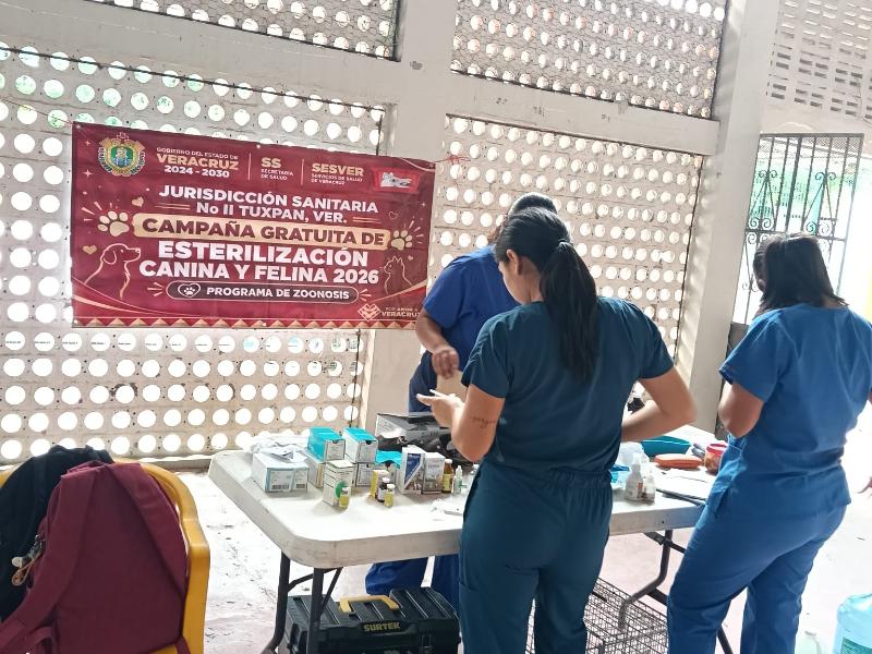 Continúan jornadas gratuitas de esterilización canina y felina en Tuxpan