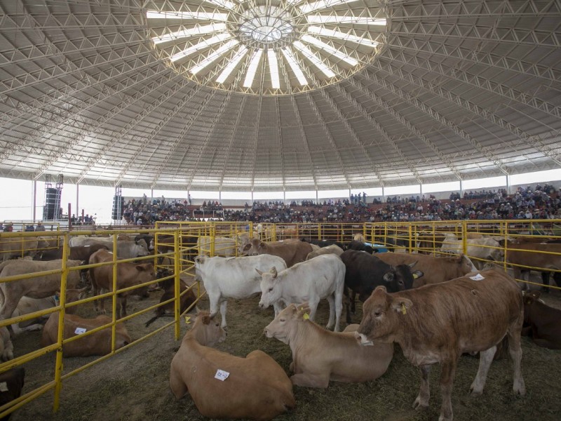 Contratará Sader 20 veterinarios zacatecanos