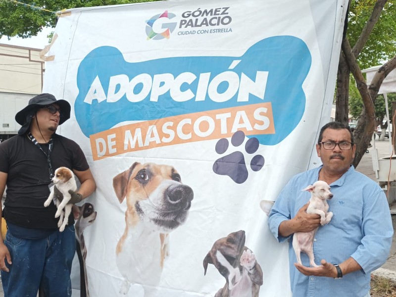 Control de Bienestar invitan a adoptar una mascota