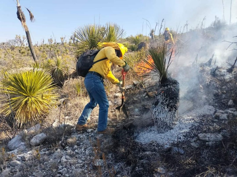 Controlado 50% incendio en Zamarrilla