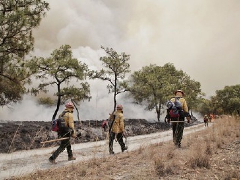 Fuego en La Primavera controlado al 80%