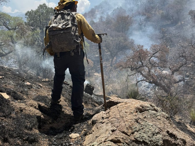 Controlado al 100% el incendio en la Sierra Los Ajos