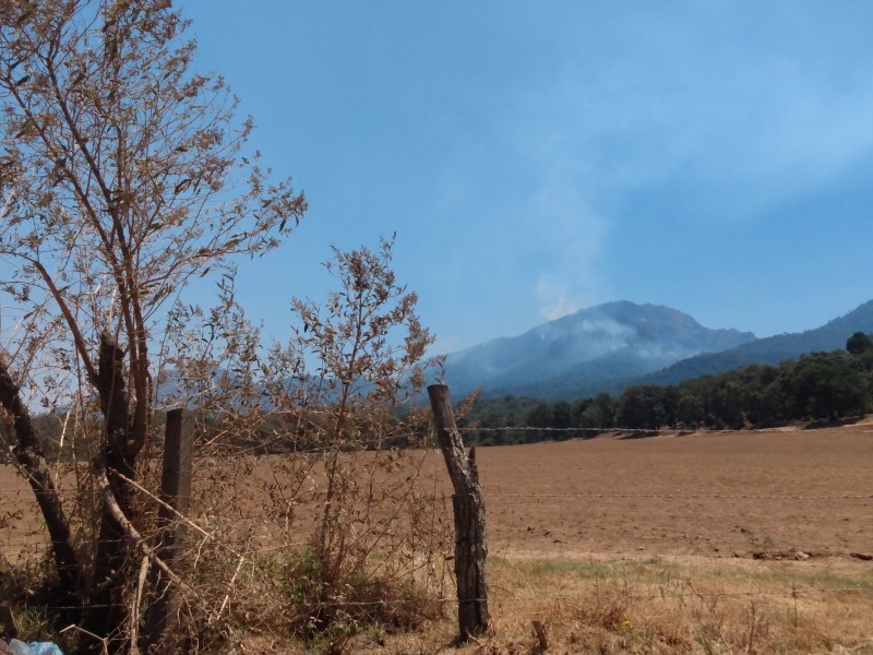 Controlado al 100% incendio en el Cerro Grande de Patamban