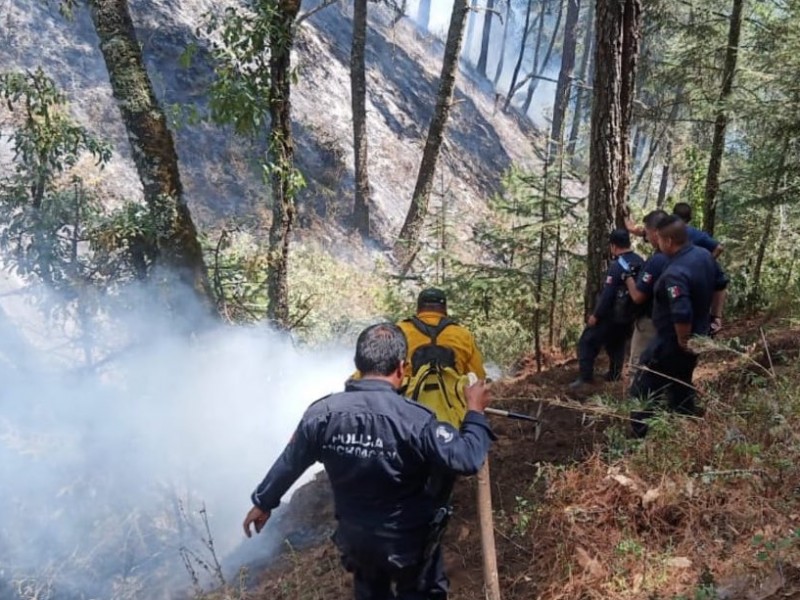 Controlado al 70% incendio en El Tzirate