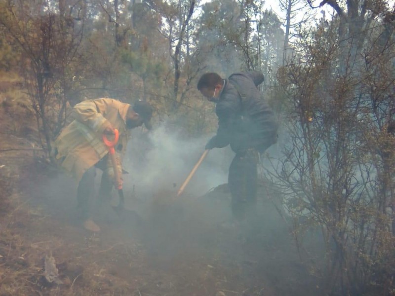 Controlado al  90% incendio en el cerro “El cacique”