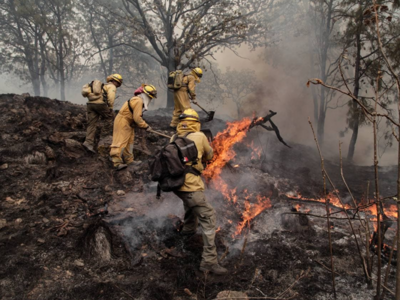 ¡Controlado! el incendio en Bosque La Primavera